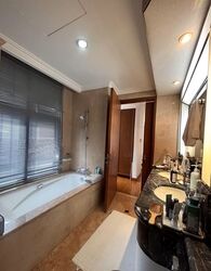 Four Seasons Park (D10), Condominium #565051831